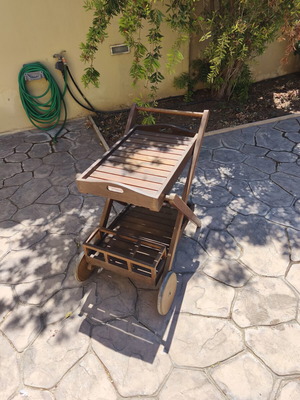Garden bar cart with removable tray