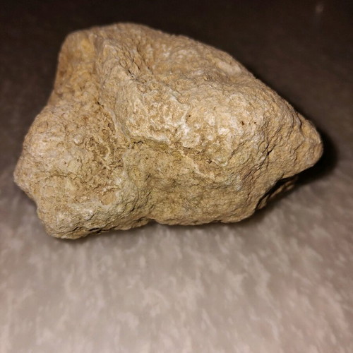 Coral fossil from Crete like new