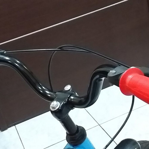 Everest 12 Kids Bicycle like new, V-Brakes, male