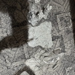 3d forest from conquest creation new