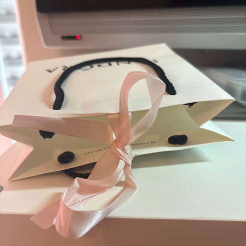 Pandora Paper Gift Bag