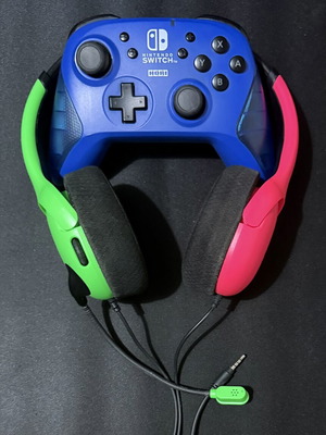 Nintendo Switch controller and headset like new, original Hori