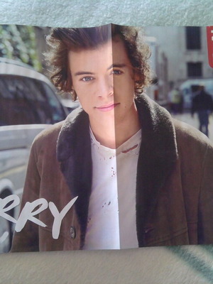 One Direction (Harry Styles) & Cody Simpson poster like new