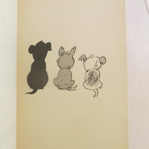 Mystery Pups - Dognapped! book used, in English