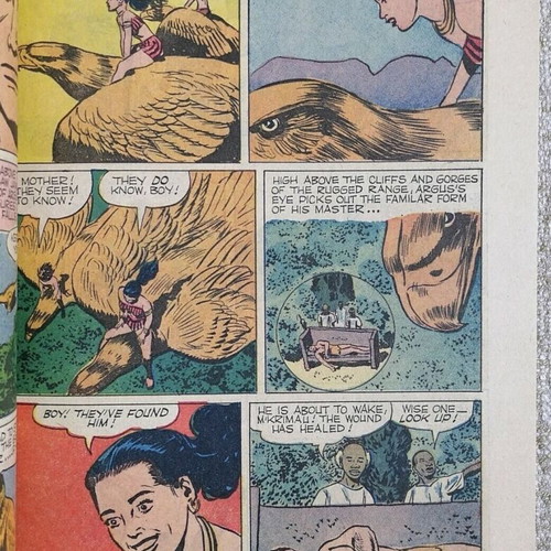 Tarzan Annual Issue No 25 used, American vintage 100 pages