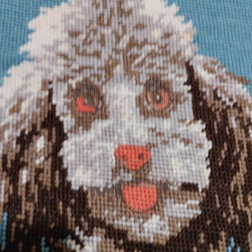 Children's handmade embroidery with dog new
