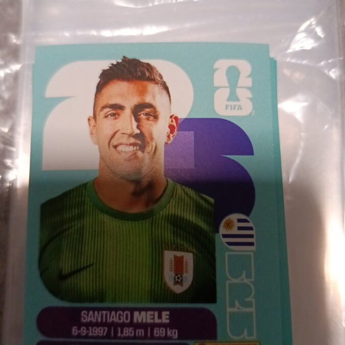 Panini FIFA World Cup 2026 sticker like new
