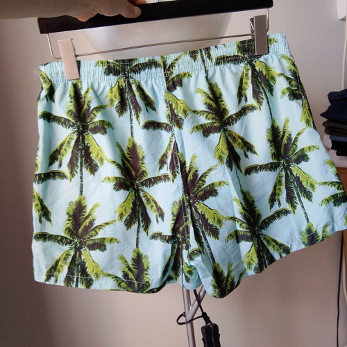 Swim shorts L/XL like new, green and turquoise