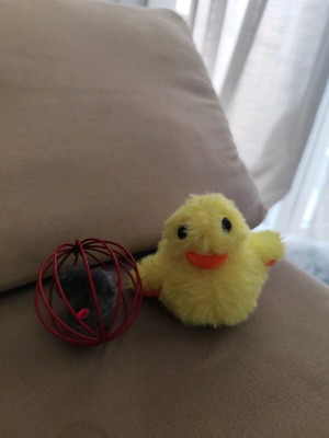 Moving and sound cat toy like new with free ball and mouse