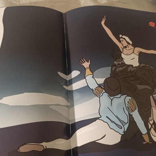 Classic Ballet The Nutcracker Swan Lake book, Radkid