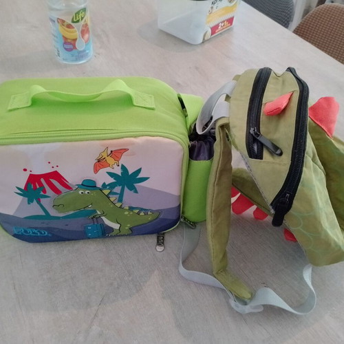 Insulated lunch bag and small backpack like new