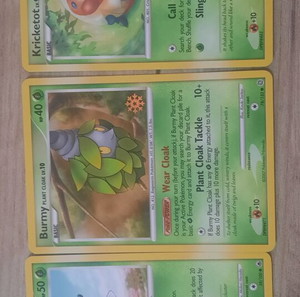 Pokemon tcg calendar countdown promo kricketot combee burmy