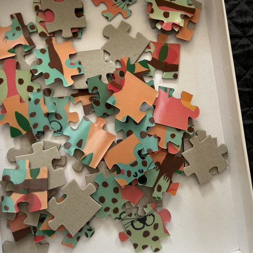 Flying Tiger 3D Puzzle 48 Pieces like new with changing pattern