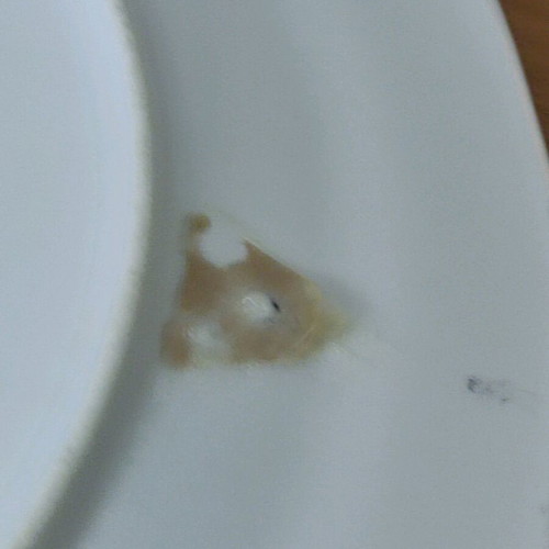 Winterling decorative porcelain plate like new