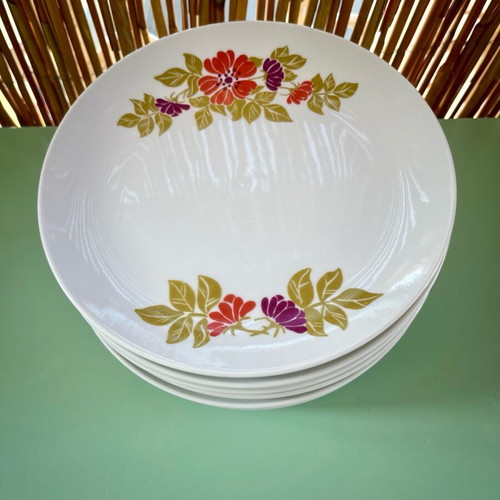 Vintage plates and platter with appetizer stand Ionia used, set of 12 pieces