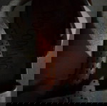 ΠΕΔΙΛΑ CROCODILINO No34