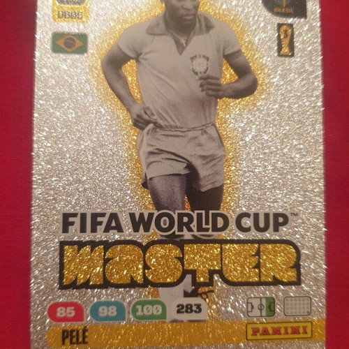 Panini FIFA Football Legends Card Collection new, glossy