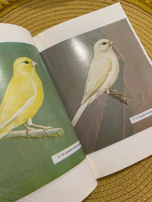 Canary Guide Book used