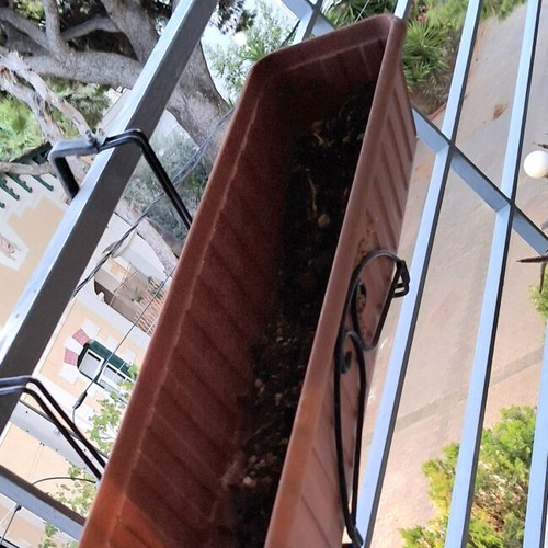 Terracotta planter with metal stand set