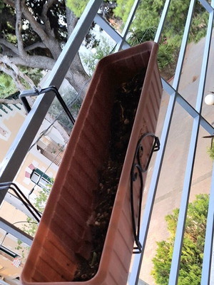 Terracotta planter with metal stand set