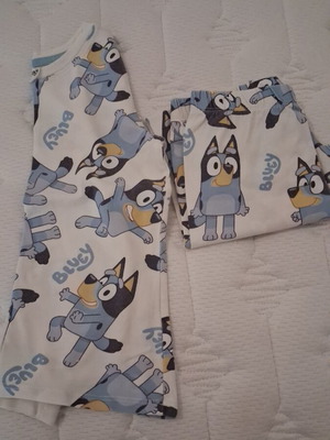 Bluey winter pajamas, used