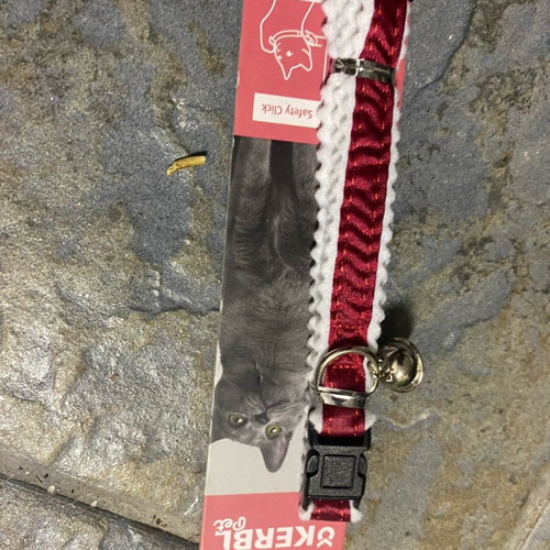 Cat collar with bell and reflection new