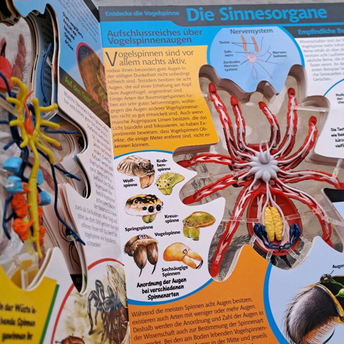 Σπάνιο Συλλεκτικό Βιβλίο Vogelspinne in 3D μεταχειρισμένο, David George Gordon