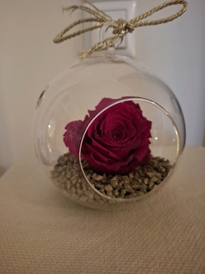 Forever Rose in Glass Packaging like new
