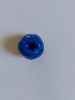Handmade blueberry clay magnet