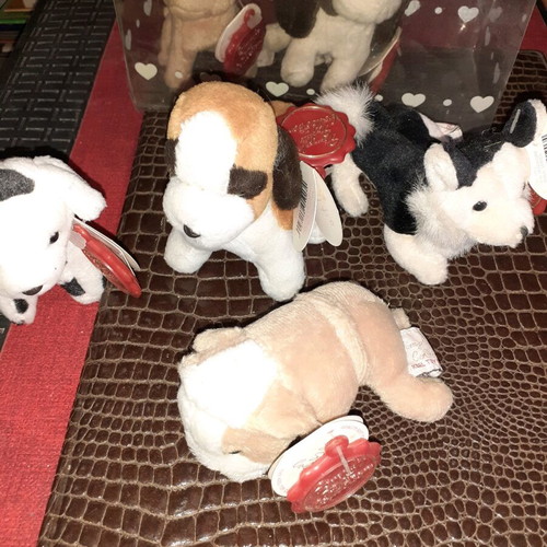 Box with dogs new, various breeds