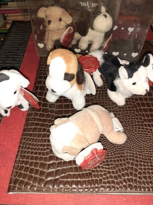 Box with dogs new, various breeds