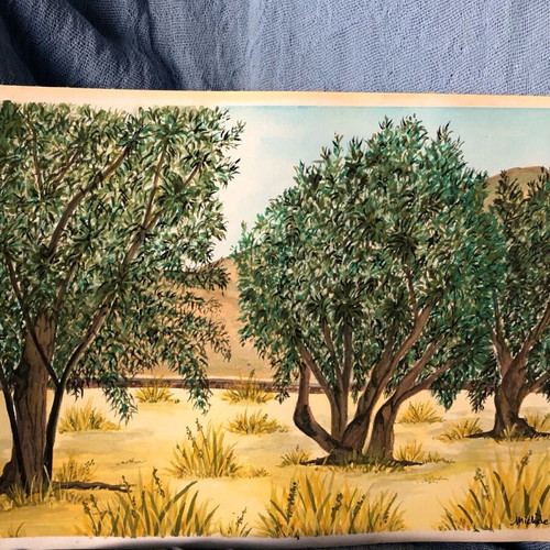 Watercolour painting of olives new, size 21x29