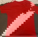  Bayern München 2013 Adidas(size M) official t-shirt