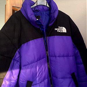 The north face puffer unisex