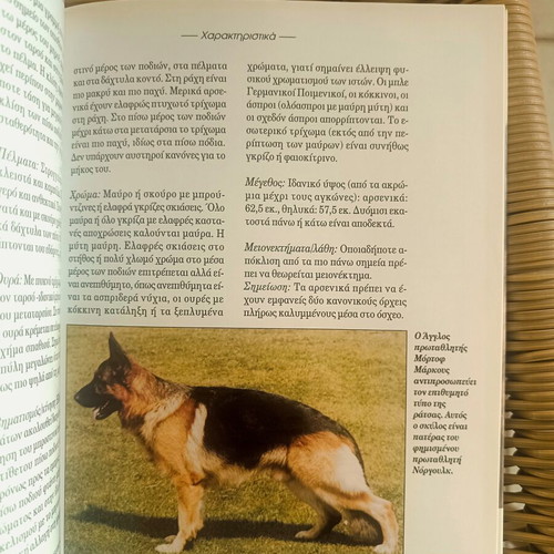 The Perfect Book for the German Shepherd like new, hobby