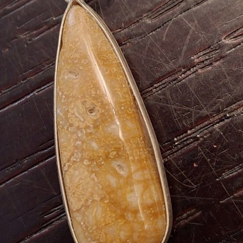Fossil Coral Earrings new, silver plated 925