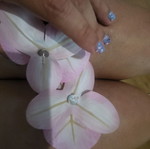 Orchids earrings new