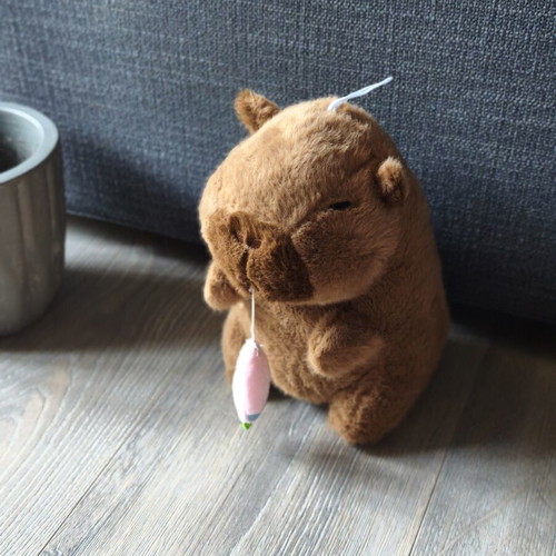 Capybara plush toy with pull carrot, like new
