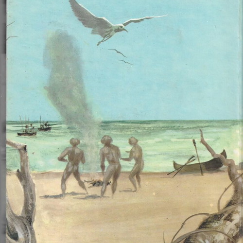 Robinson Crusoe used hardcover book