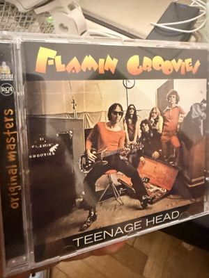 Flamin' Groovies Teenage Head CD like new, punk