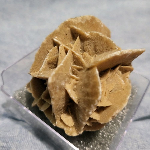Desert rose sample from Mexico