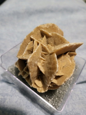Desert rose sample from Mexico