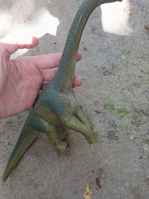 Brachiosaurus μεταχειρισμένο