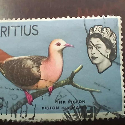 Queen Elizabeth II Stamp like new with Pink Pigeon 1975 Mauritius