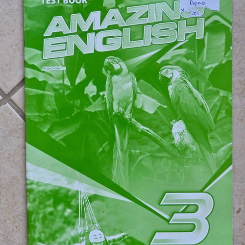 Hamilton House Amazing English 3 English book used