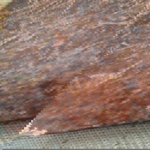 Edwin Starr 25 Miles LP като нов, R&B / Soul