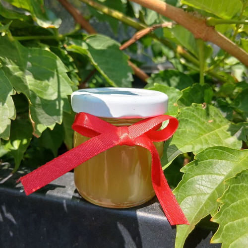 Homemade beeswax ointment with 100% beeswax