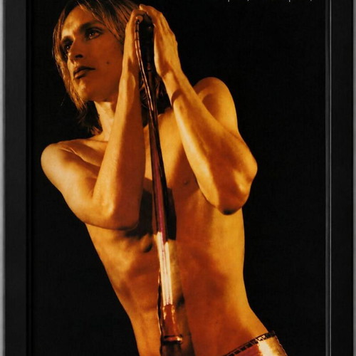 Iggy Pop poster 32×23cm with frame new