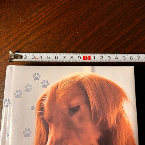 2024-2025 Academic Diary new with hardcover