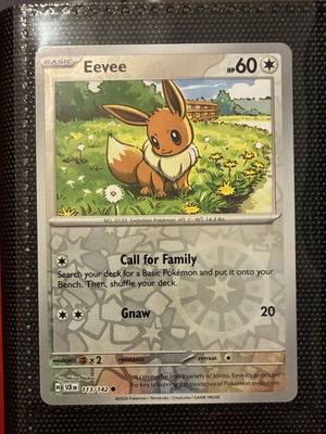 Pokemon TCG Eevee new